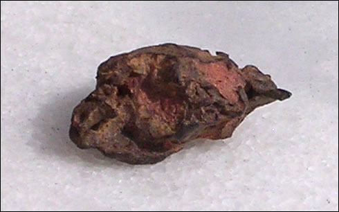 Photo : fragment de la météorite Imilac