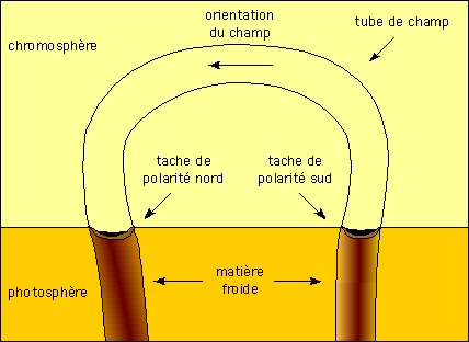 Schéma : tube de champ magnétique